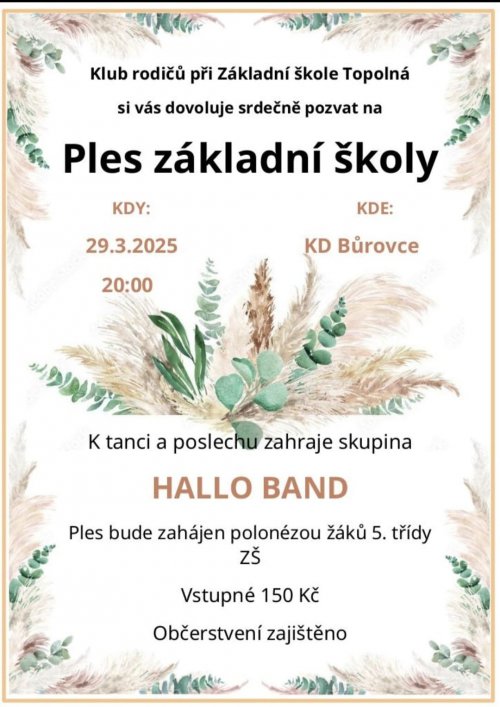 POZVÁNKA NA ŠKOLNÍ PLES 2025
