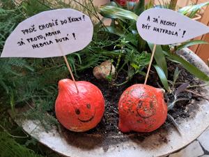 To si tak jednou 2 malé dýně povídaly....